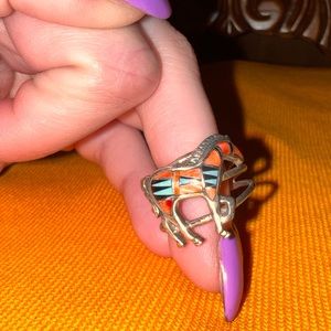 Desert 🏜 Pony 🐴